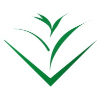 Rayne Strategic Capital Partners, LLC logo - Similar company to Arborhill Commercial Finance, Llc