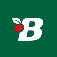 Benassi São Paulo logo - Similar company to Klt Brasil