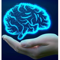 Masterpiece Psychology logo - Similar company to Inmotion Therapy & Supports