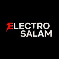 ELECTROSALAM logo - Similar company to Together Solutions