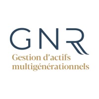Gnr Financial Services Firm