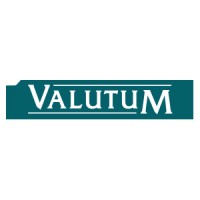 Valutum logo - Similar company to Dve