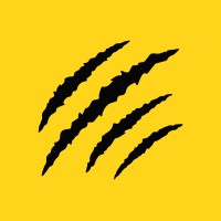 Stenson Wolf logo - Similar company to Bluegator Creative
