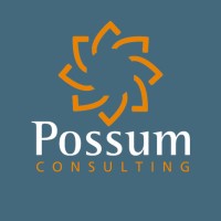 Possum Consulting logo - Similar company to Zyk Consultores