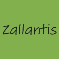 Zallantis OÜ logo - Similar company to Sabrhub