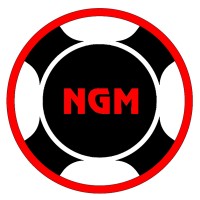 NetGain Motors, Inc. logo - Similar company to Inductive Autoworks