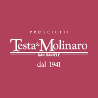 Testa&Molinaro logo - Similar company to F.Lli Zaffrani S.R.L.