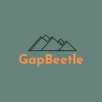 GapBeetle logo - Similar company to Boost Cave Video