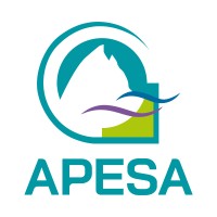 APESA logo - Similar company to Ran Coper