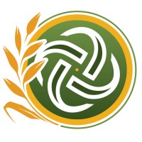 Oatmeal AI logo - Similar company to Mltutor.Ai