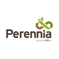 Perennia logo - Similar company to Space Creatorz