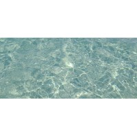 mare e mare logo - Similar company to Coloombus