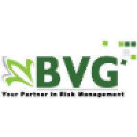 BVG - Your Partner in Risk Management logo - Similar company to Optimum Engineering Training