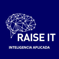 RAISE IT logo - Similar company to Maseldata