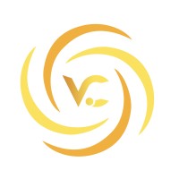 Vigilant Consultancy logo - Similar company to Tribuild Consultancy Llc