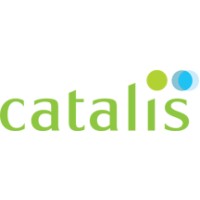 Catalis Holdings (Proprietary) Limited logo - Similar company to Integer