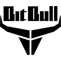 BitBull Systems logo - Similar company to Davinci Computers B.V.