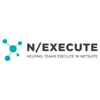 N/EXECUTE logo - Similar company to Dimtronics
