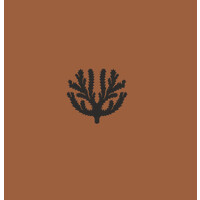 Suelo Sur logo - Similar company to Primitivo