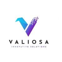 Valiosa Solutions logo - Similar company to Chart Pattern Analytics