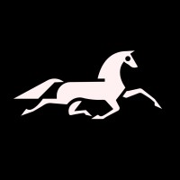 Ashford South logo - Similar company to Virsitil, Inc.