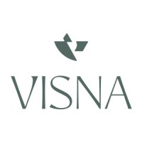 Visna logo - Similar company to Br Player