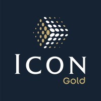 Icon Gold logo - Similar company to Air Brasil