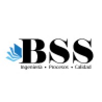 BSS CR logo - Similar company to Business Support Solutions Bss