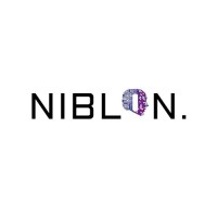 Niblon logo - Similar company to Pauseitive Tech