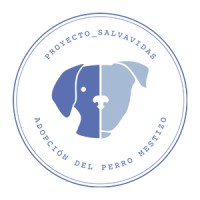 Proyecto Salvavidas MX logo - Similar company to Proyecto_Salvavidas