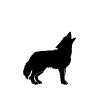 Coyote Marketing Inc logo - Similar company to Startup Digital