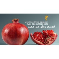 Pomegranate export logo - Similar company to Pomegranate Consulting Group Anar