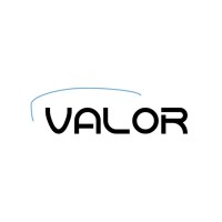 Valor Material Handling logo - Similar company to Codipack Group