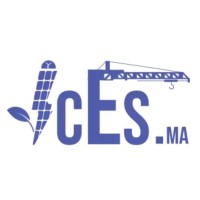 International Company of Expertise and Studies logo - Similar company to International Company Of Expertise And Studies
