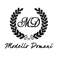 Modello Domani logo - Similar company to Modello Bespoke