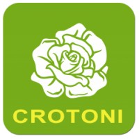 Crotoni BV logo - Similar company to Greype