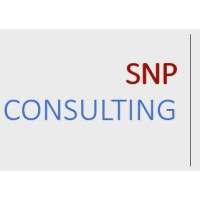 SNP Consulting logo - Similar company to Pathfinder