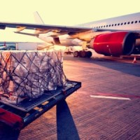 INTERFREIGHT FORWARDERS logo - Similar company to Interfreight Forwarders Pvt Ltd