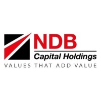 NDB Capital Holdings Limited logo - Similar company to Ndb Wealth Management Limited