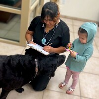 Animal Emergency Clinic Of The High Desert