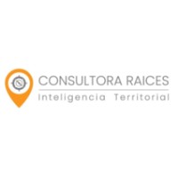 Consultora Raíces logo - Similar company to Digital Insights