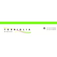 Torriglia Broker logo - Similar company to Ullmann Sas