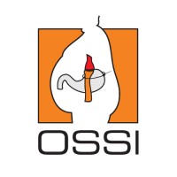 The OSSI India logo - Similar company to Techrapo