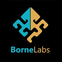 BorneLabs logo - Similar company to Evoltechs Software Solutions