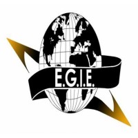 Elite Global Import Export logo - Similar company to Bgm Customs