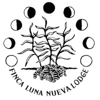 Finca Luna Nueva Lodge