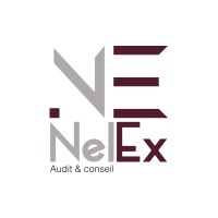 NELEX Audit et Conseil logo - Similar company to Red River Interactive