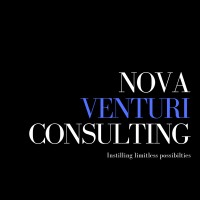 Nova Venturi Consulting logo - Similar company to Skilled Search Uk