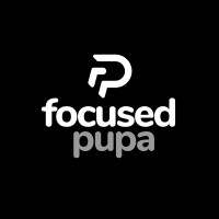 Focused Pupa logo - Similar company to Appnify