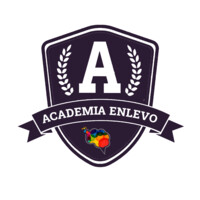 Academia Enlevo logo - Similar company to Dextra